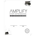 Amplify 2 Day Certification Workbook
