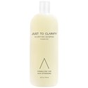 Amplify Just To Clarify Clarifying Shampoo Liter