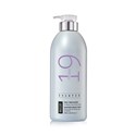 BIOTOP PROFESSIONAL 19 Pro-Sliver Shampoo 33.8 Fl. Oz. / 1 Liter