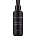 bodyography Anti-Bacterial Sanitizing Spray 4 Fl. Oz.