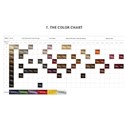 Davines Color Chart - 60 Shades