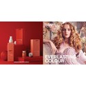 KEVIN.MURPHY EVERLASTING.COLOUR Brochure
