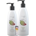 LOMA For Life 2021 Small Intro - Mango 20 pc.